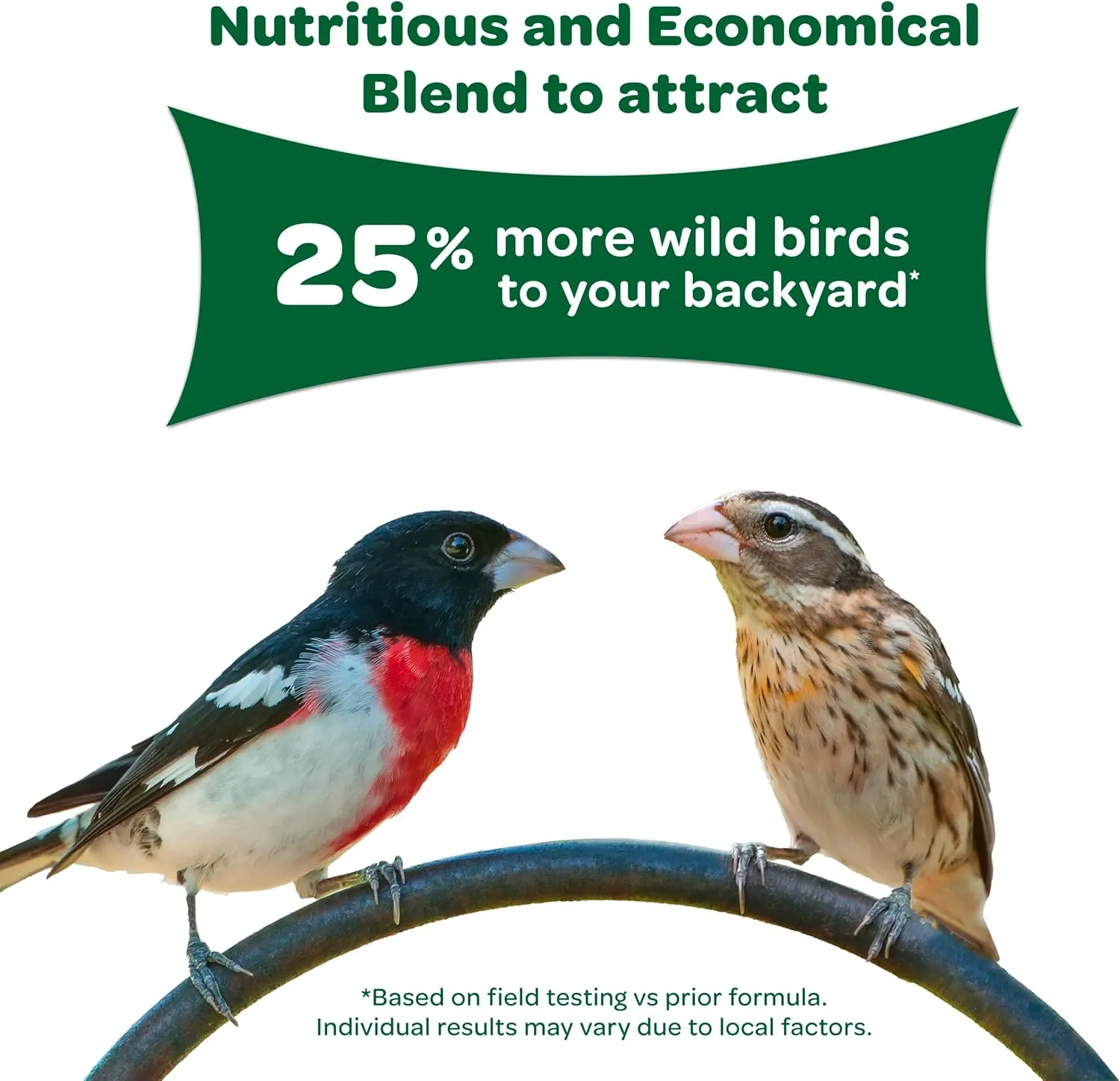 Kaytee Wild Bird Basic Seed, 10 lb
