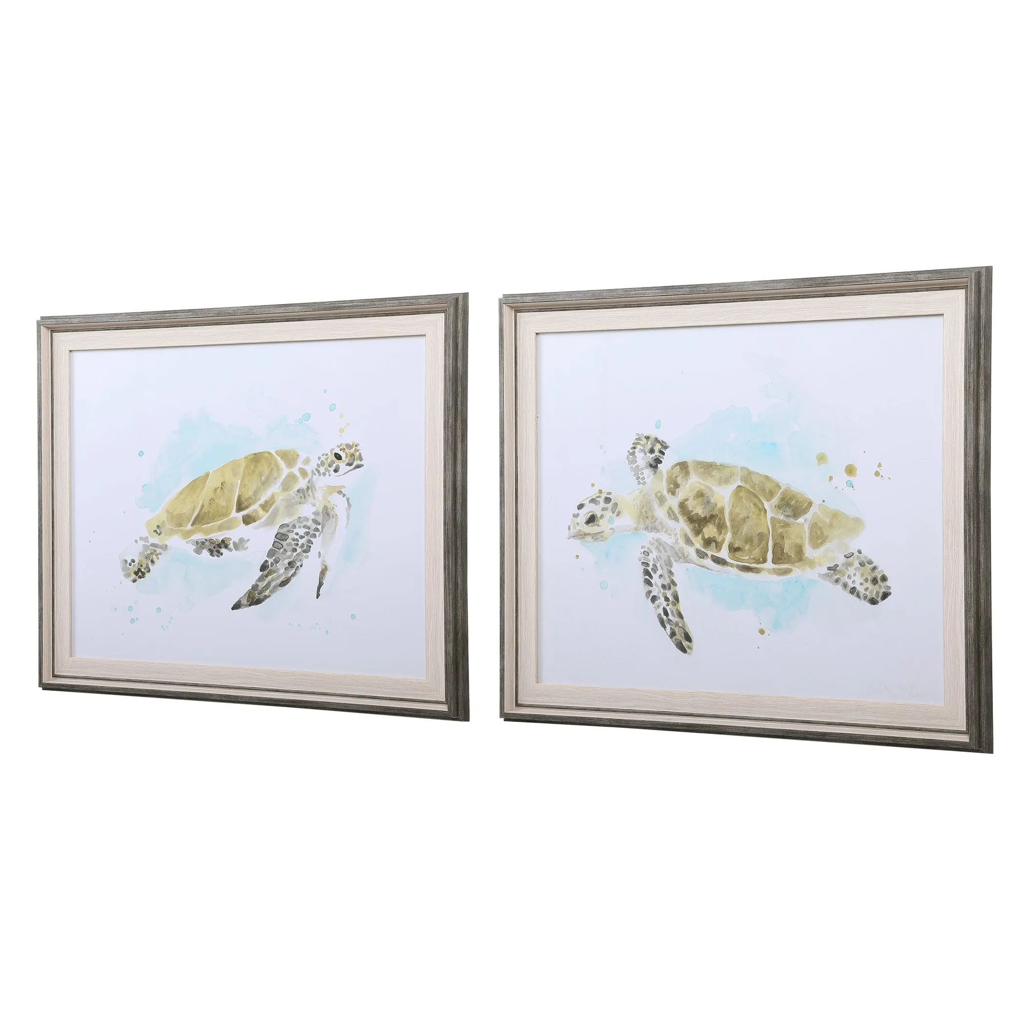 Sea Turtle Study Watercolor Prints, S/2