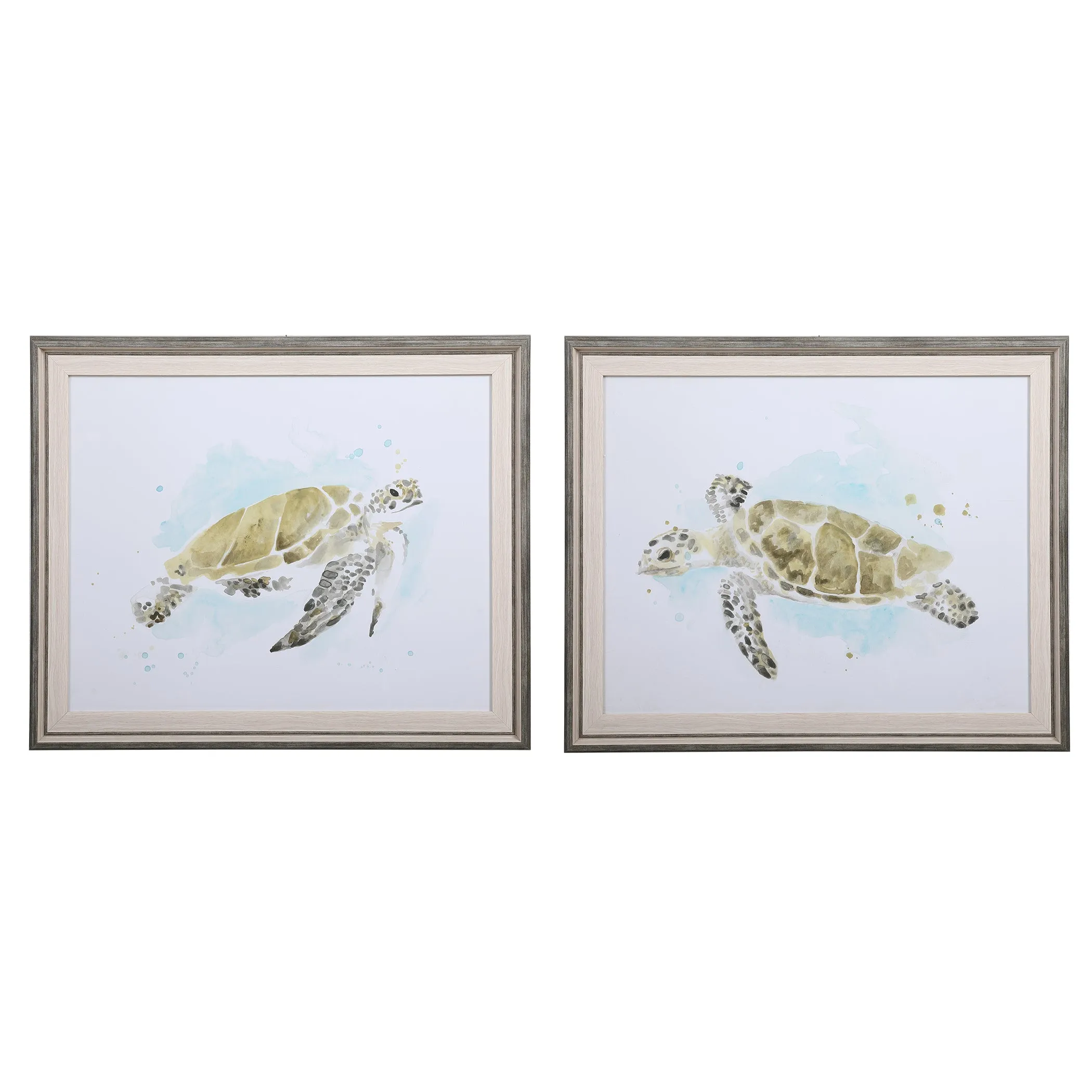 Sea Turtle Study Watercolor Prints, S/2