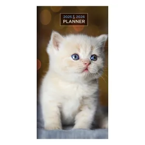 TF Publishing 2025-2026 Kitten Small Monthly Pocket Planner